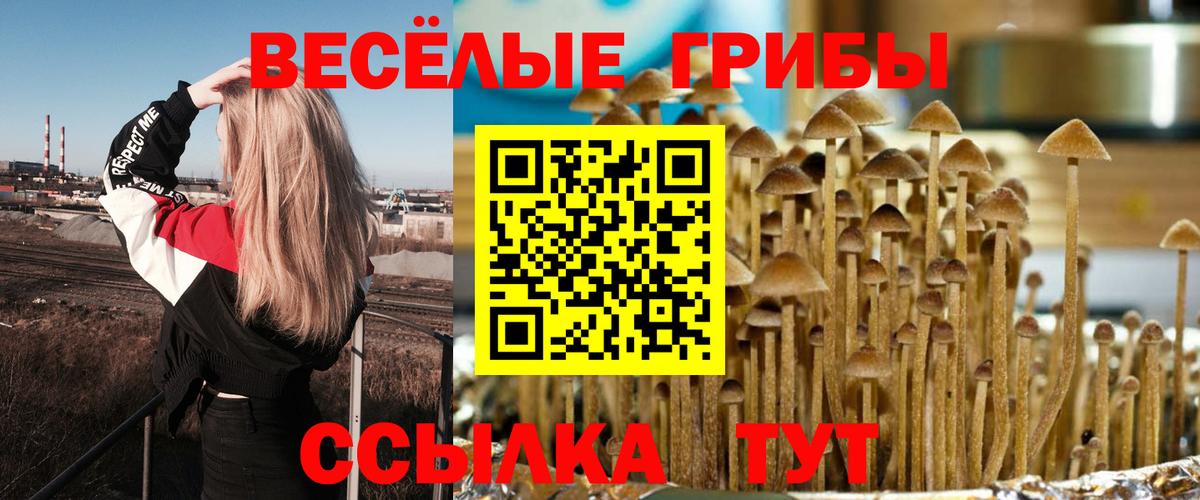 Элиста  купить наркотики сайты  Галлюциногенные грибы ЛСД  Вход с VPN  Псилоцибиновые грибы Cubensis 