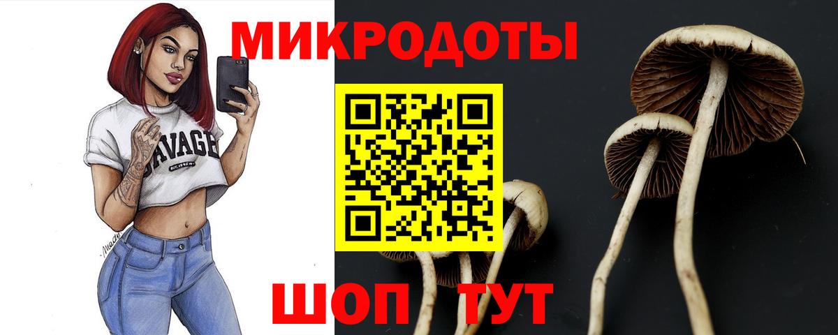 Псилоцибиновые грибы Magic Shrooms Элиста